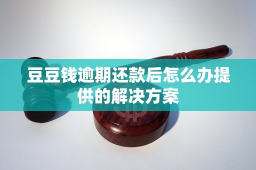 豆豆钱逾期还款后怎么办提供的解决方案