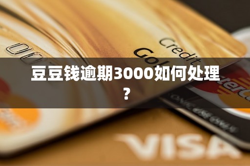 豆豆钱逾期3000如何处理？