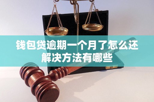 钱包贷逾期一个月了怎么还解决方法有哪些