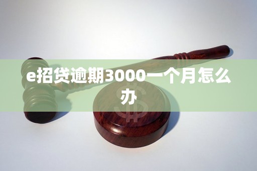 e招贷逾期3000一个月怎么办