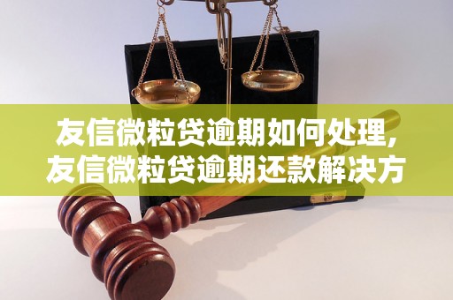 友信微粒贷逾期如何处理,友信微粒贷逾期还款解决方法