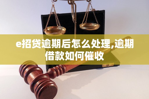 e招贷逾期后怎么处理,逾期借款如何催收