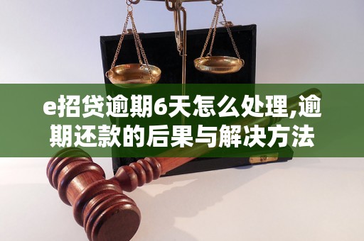 e招贷逾期6天怎么处理,逾期还款的后果与解决方法