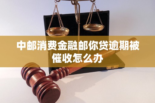 中邮消费金融邮你贷逾期被催收怎么办