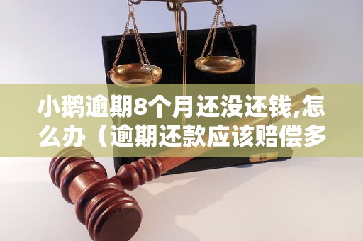 小鹅逾期8个月还没还钱,怎么办（逾期还款应该赔偿多少）