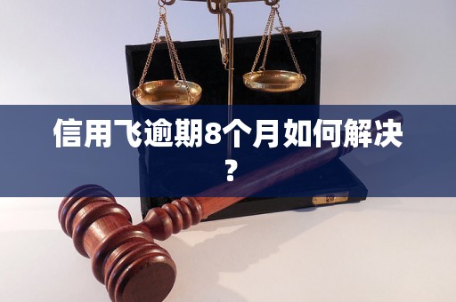 信用飞逾期8个月如何解决？