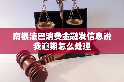 南银法巴消费金融发信息说我逾期怎么处理