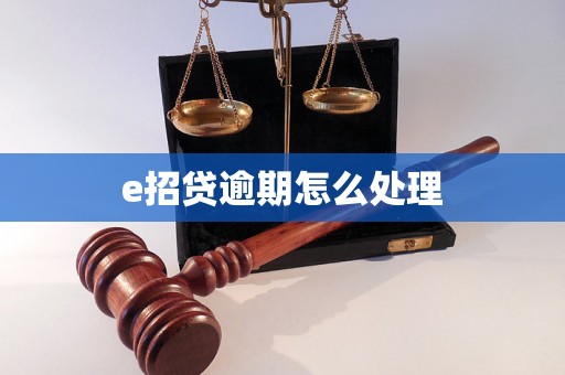 e招贷逾期怎么处理