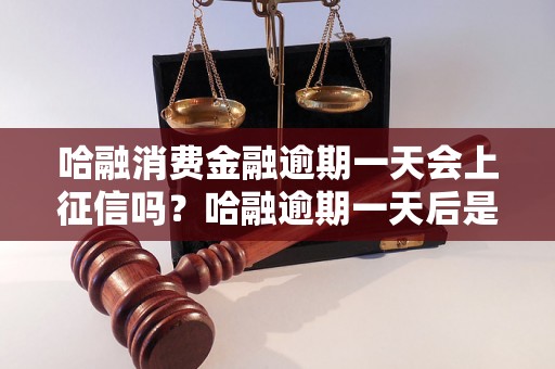 哈融消费金融逾期一天会上征信吗？哈融逾期一天后是否会被征信记录