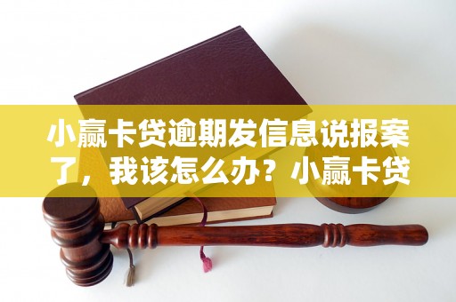 小赢卡贷逾期发信息说报案了，我该怎么办？小赢卡贷逾期报警后的处理方法