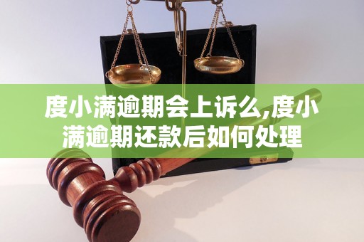 度小满逾期会上诉么,度小满逾期还款后如何处理