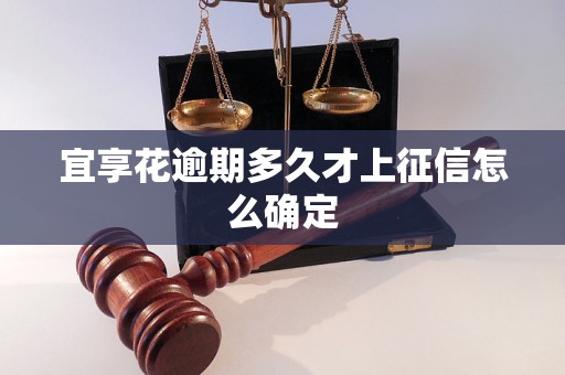 宜享花逾期多久才上征信怎么确定