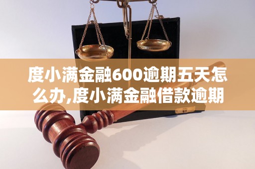 度小满金融600逾期五天怎么办,度小满金融借款逾期处理方法