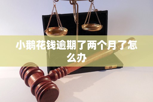 小鹅花钱逾期了两个月了怎么办