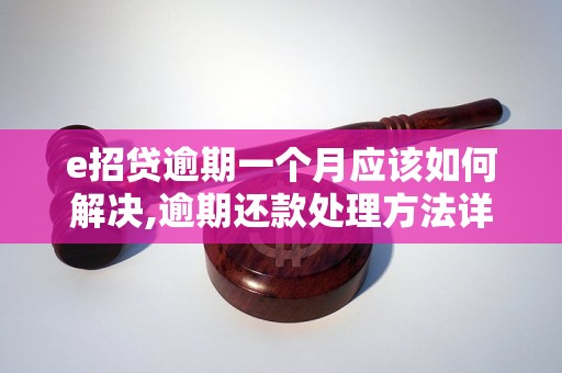 e招贷逾期一个月应该如何解决,逾期还款处理方法详解