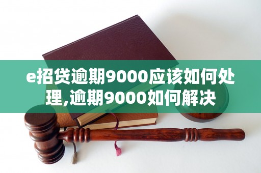 e招贷逾期9000应该如何处理,逾期9000如何解决