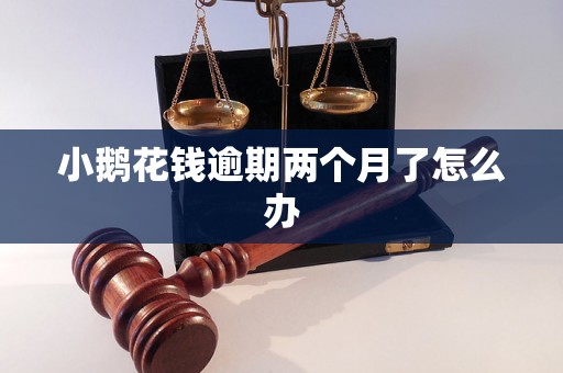 小鹅花钱逾期两个月了怎么办