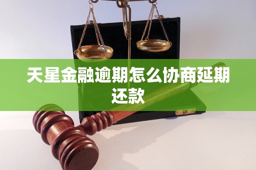 天星金融逾期怎么协商延期还款