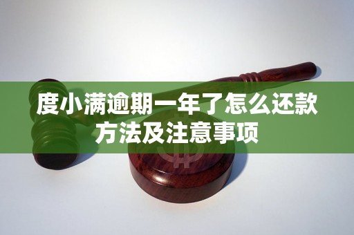 度小满逾期一年了怎么还款方法及注意事项