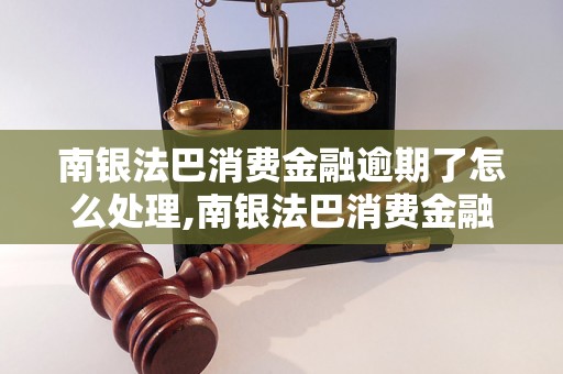 南银法巴消费金融逾期了怎么处理,南银法巴消费金融逾期还款流程解析