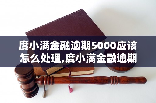 度小满金融逾期5000应该怎么处理,度小满金融逾期5000影响大吗