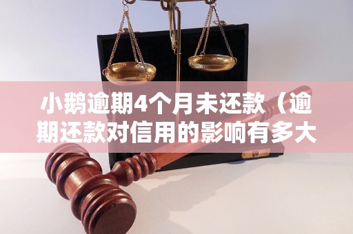 小鹅逾期4个月未还款（逾期还款对信用的影响有多大）