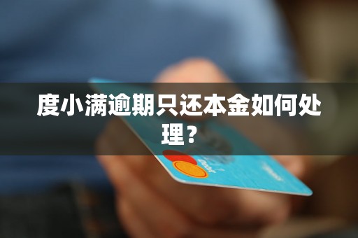 度小满逾期只还本金如何处理？