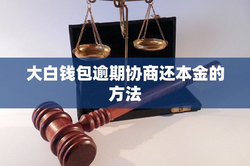 大白钱包逾期协商还本金的方法