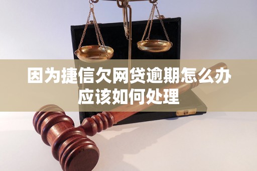 因为捷信欠网贷逾期怎么办应该如何处理