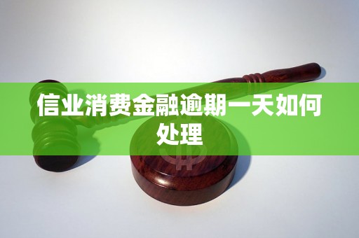 信业消费金融逾期一天如何处理