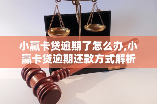 小赢卡贷逾期了怎么办,小赢卡贷逾期还款方式解析