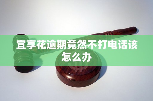 宜享花逾期竟然不打电话该怎么办