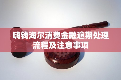 嗨钱海尔消费金融逾期处理流程及注意事项