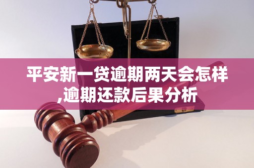 平安新一贷逾期两天会怎样,逾期还款后果分析