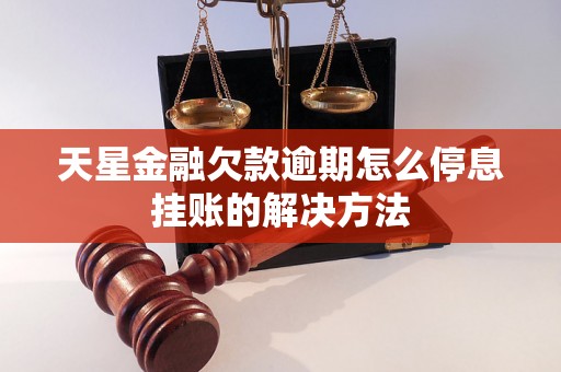 天星金融欠款逾期怎么停息挂账的解决方法