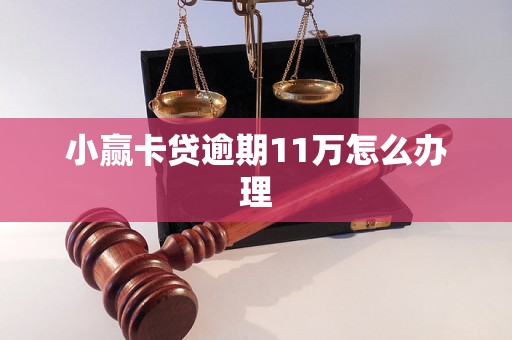 小赢卡贷逾期11万怎么办理