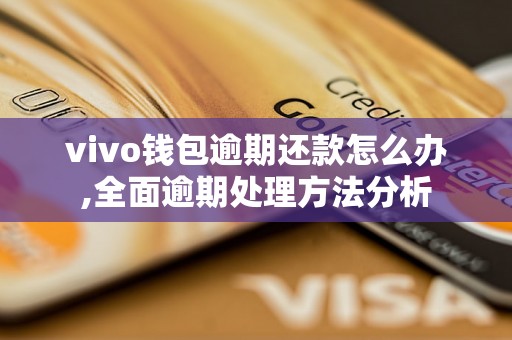 vivo钱包逾期还款怎么办,全面逾期处理方法分析