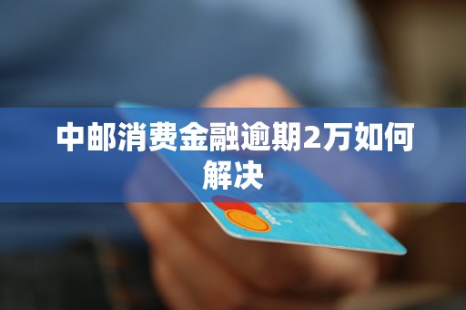 中邮消费金融逾期2万如何解决