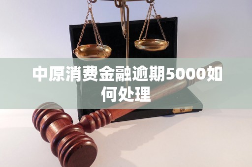 中原消费金融逾期5000如何处理