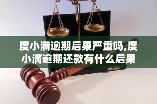 度小满逾期后果严重吗,度小满逾期还款有什么后果