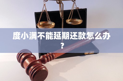 度小满不能延期还款怎么办？