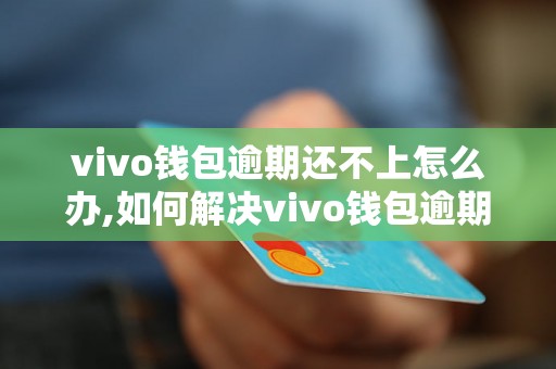 vivo钱包逾期还不上怎么办,如何解决vivo钱包逾期问题