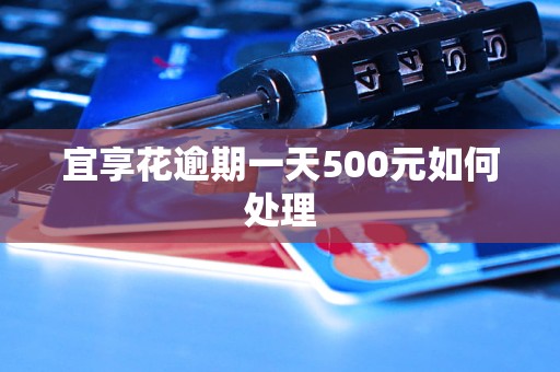 宜享花逾期一天500元如何处理