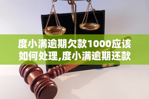 度小满逾期欠款1000应该如何处理,度小满逾期还款的后果