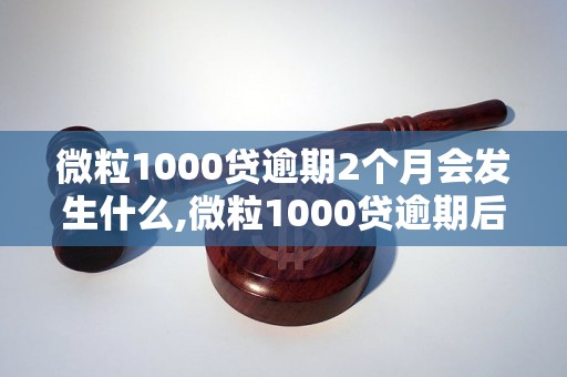 微粒1000贷逾期2个月会发生什么,微粒1000贷逾期后果及处理方法