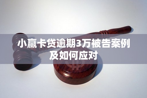 小赢卡贷逾期3万被告案例及如何应对