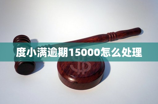 度小满逾期15000怎么处理