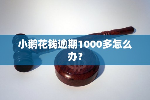 小鹅花钱逾期1000多怎么办？