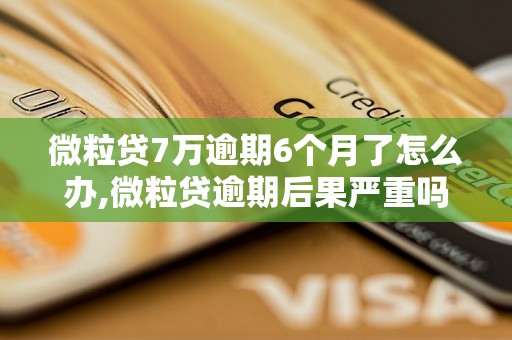 微粒贷7万逾期6个月了怎么办,微粒贷逾期后果严重吗