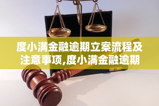 度小满金融逾期立案流程及注意事项,度小满金融逾期立案流程详解